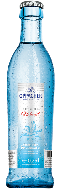 Mineralwasser Naturell
0,25 l