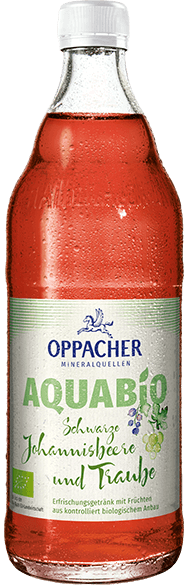 Aquabio Schwarze Johannisbeere und Traube 0,5 l
